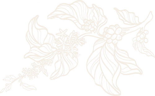 Cà phê nguyên chất là gì